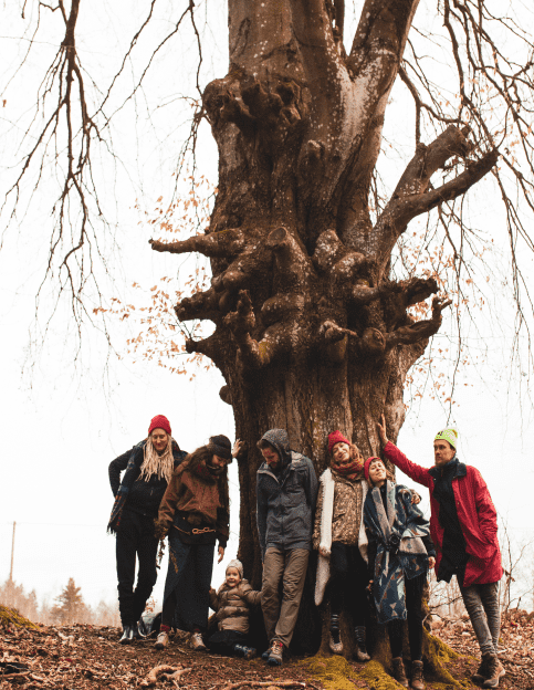 grupa ludzi przy starym drzewie