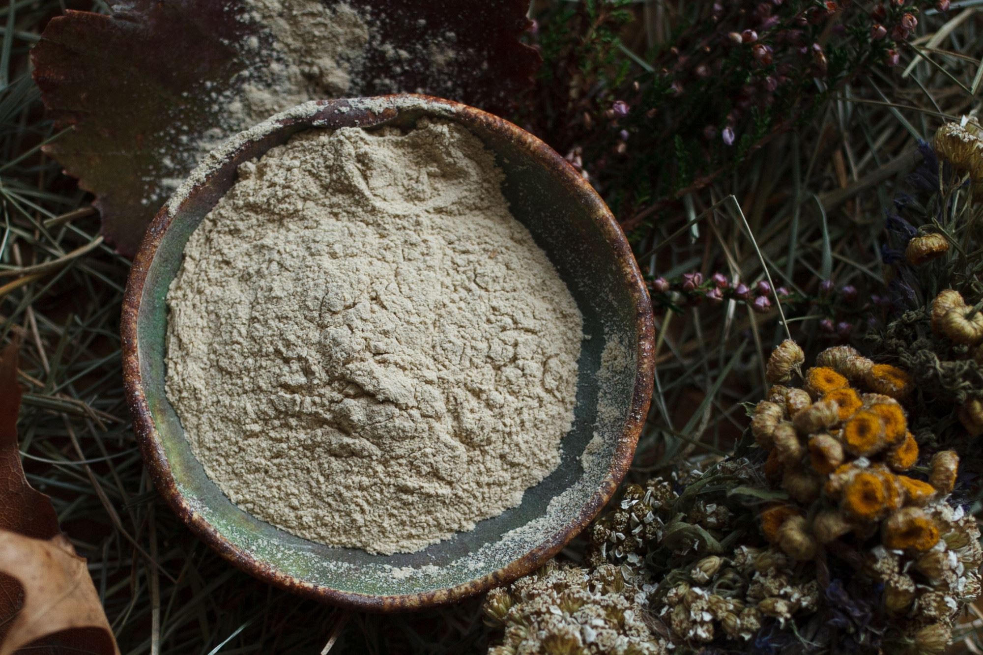 Sproszkowany korzeń ashwagandhy w miseczce.