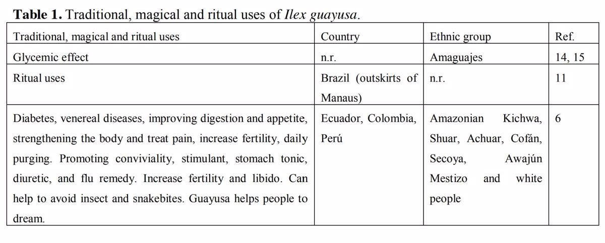 Z artykułu M. Radice i wsp.: Ilex guayusa - A systematic review of its Traditional Uses, Chemical Constituents, Biological Activities and Biotrade Opportunities.