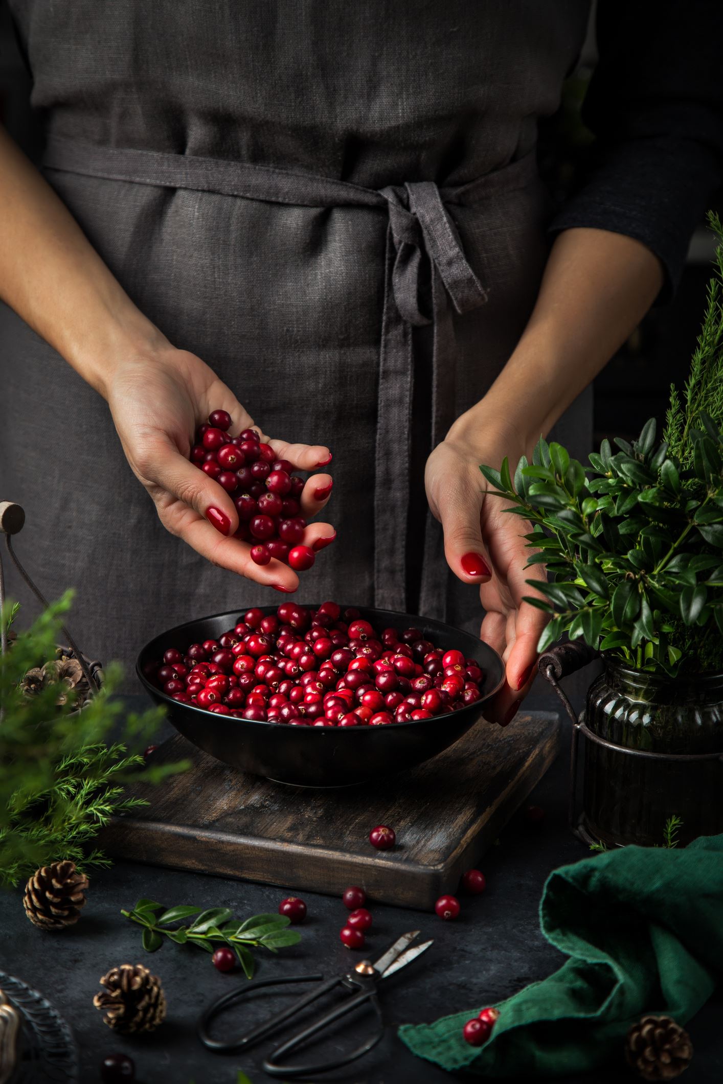 Ręce kobiety w szarym fartuchu delikatnie przesypują czerwone owoce żurawiny do czarnej miski na drewnianej desce, otoczonej świąteczną zielenią i szyszkami.