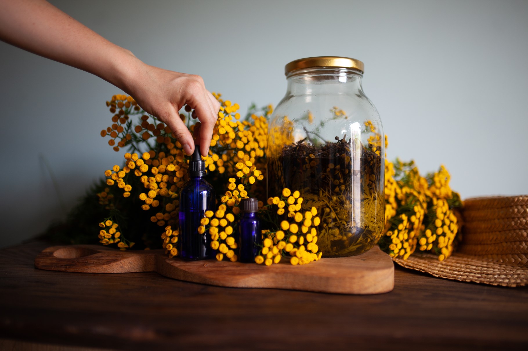 kwiaty wrotyczu i nalewka z wrotyczu, dłoń odmierza nalewkę pipetą