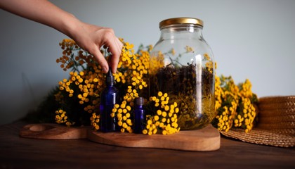 kwiaty wrotyczu i nalewka z wrotyczu, dłoń odmierza nalewkę pipetą